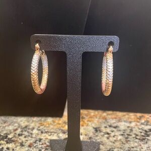 Tricolor Textured Hoop Earrings